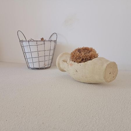 White Shell Rooms Accomodation Fast Check-In Αλγκέρο Εξωτερικό φωτογραφία