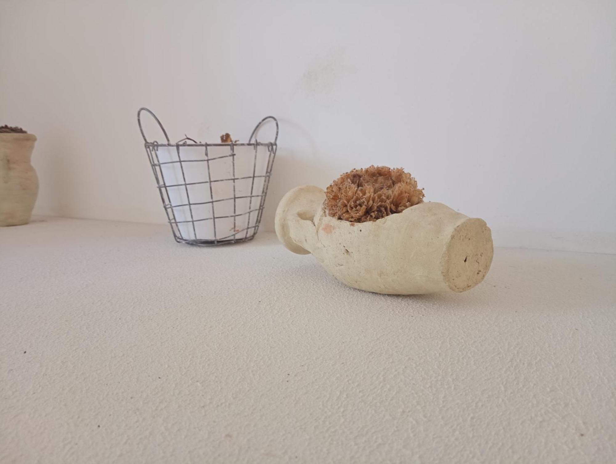 White Shell Rooms Accomodation Fast Check-In Αλγκέρο Εξωτερικό φωτογραφία
